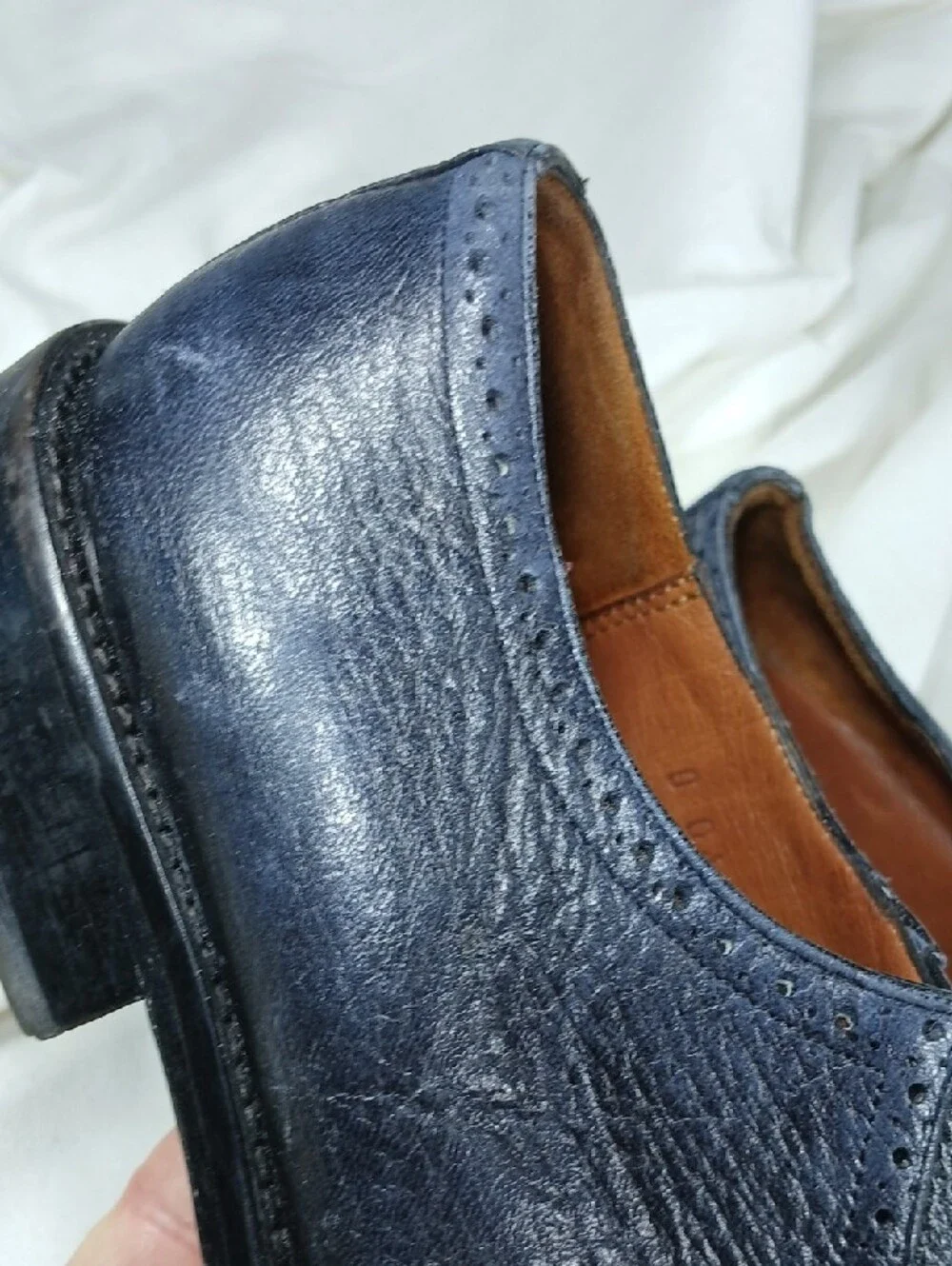 Alan Payne Men's Black Blue Leather Dress Shoes - Classic Lace-Up
